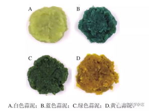 不同顏色蒜泥的風味及揮發性物質分析