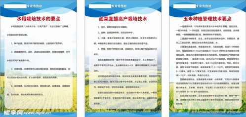 農(nóng)作物栽培管理技術(shù)設(shè)計圖及其在農(nóng)業(yè)技術(shù)研究中的應(yīng)用