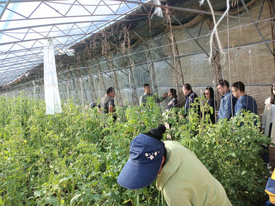 我校開展市校推進鄉村振興農業農村領域項目中期檢查工作