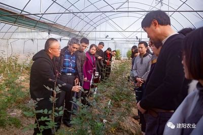 田間地頭的生動課堂 建陽區農技培訓“搬進”農業企業，賦能鄉村振興