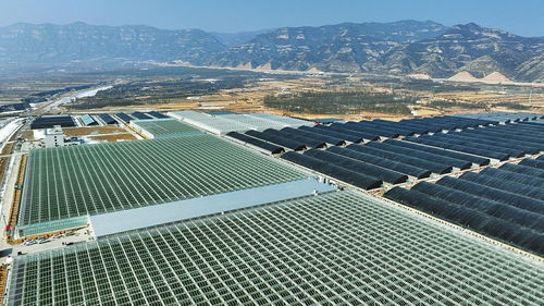 科技賦能，產(chǎn)業(yè)升級 山西陽曲農(nóng)業(yè)產(chǎn)業(yè)化的創(chuàng)新實(shí)踐